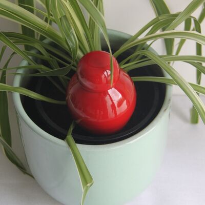 Ollas Sabeur rouge - 40 cl