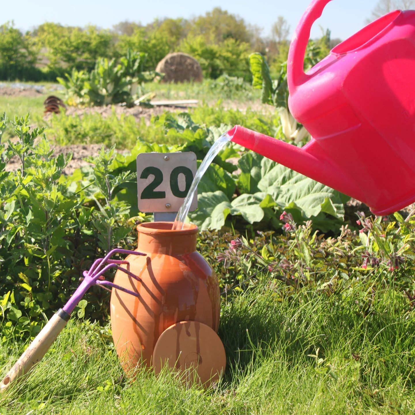 Ollas giardiniere sotterraneo - (XL) 8L