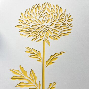 Carte d'anniversaire de chrysanthème, carte d'anniversaire florale 2