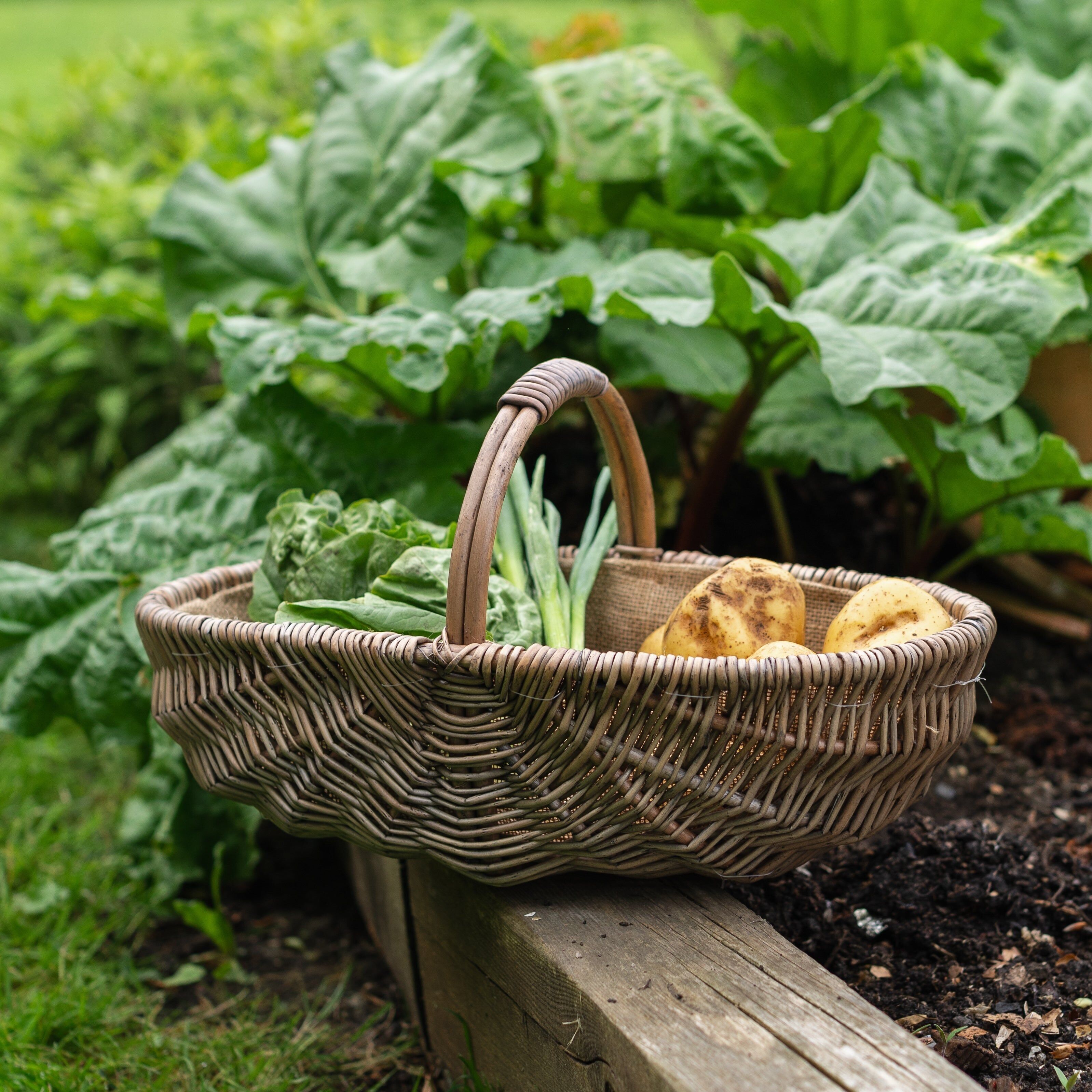 Set di 3 cestini in vimini foderati ovali anticati