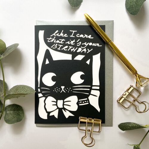 “Like I care" funny birthday card, Naughty cat birthday card