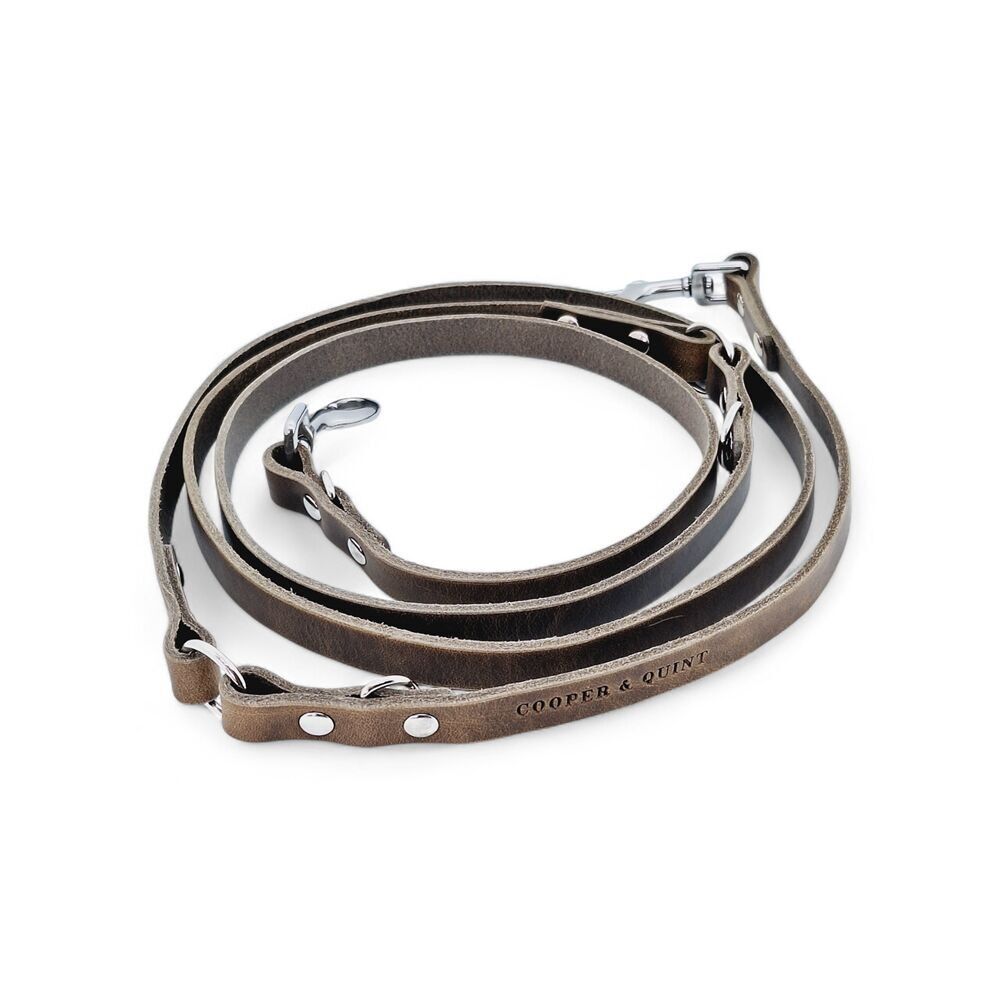 Switch Verstellbare Hundeleine aus Leder in Stein