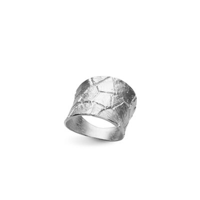 ANELLO GAIA