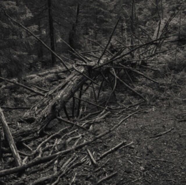 Sult LP - Sempre Rosicchio