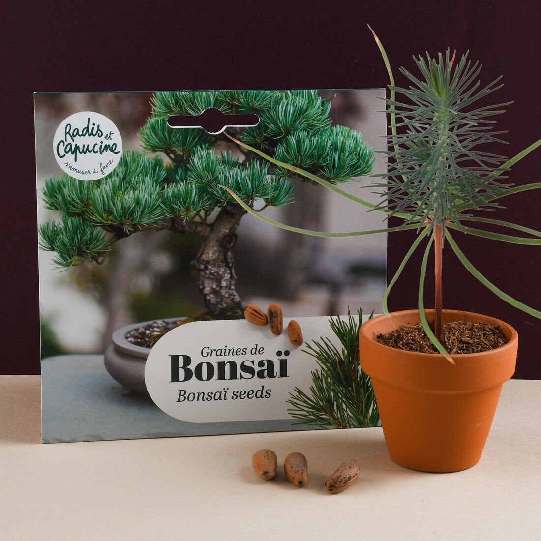 Sacchetto di semi di alberi - Bonsai dal Giappone