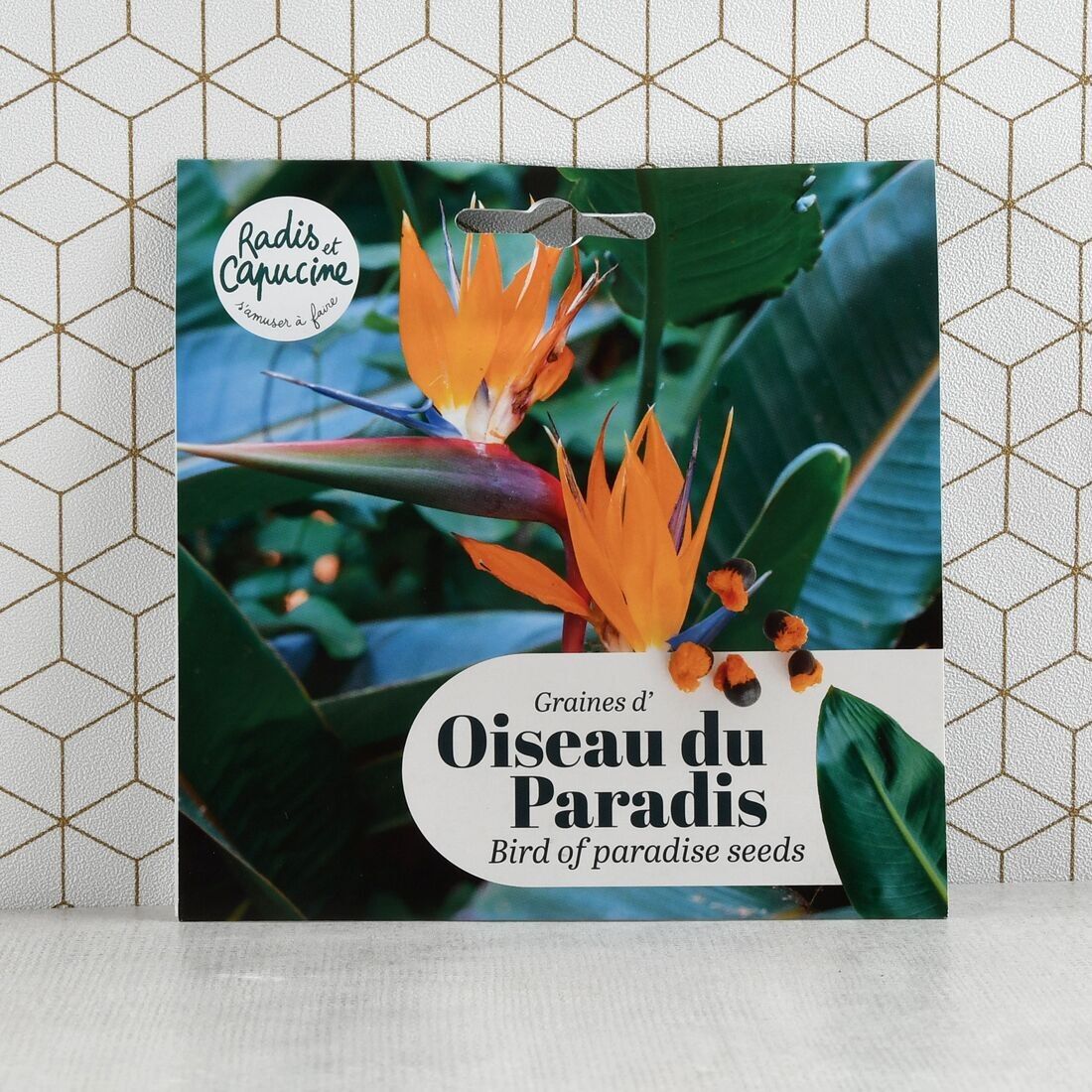 Borsa di semi esotici - Strelitzia