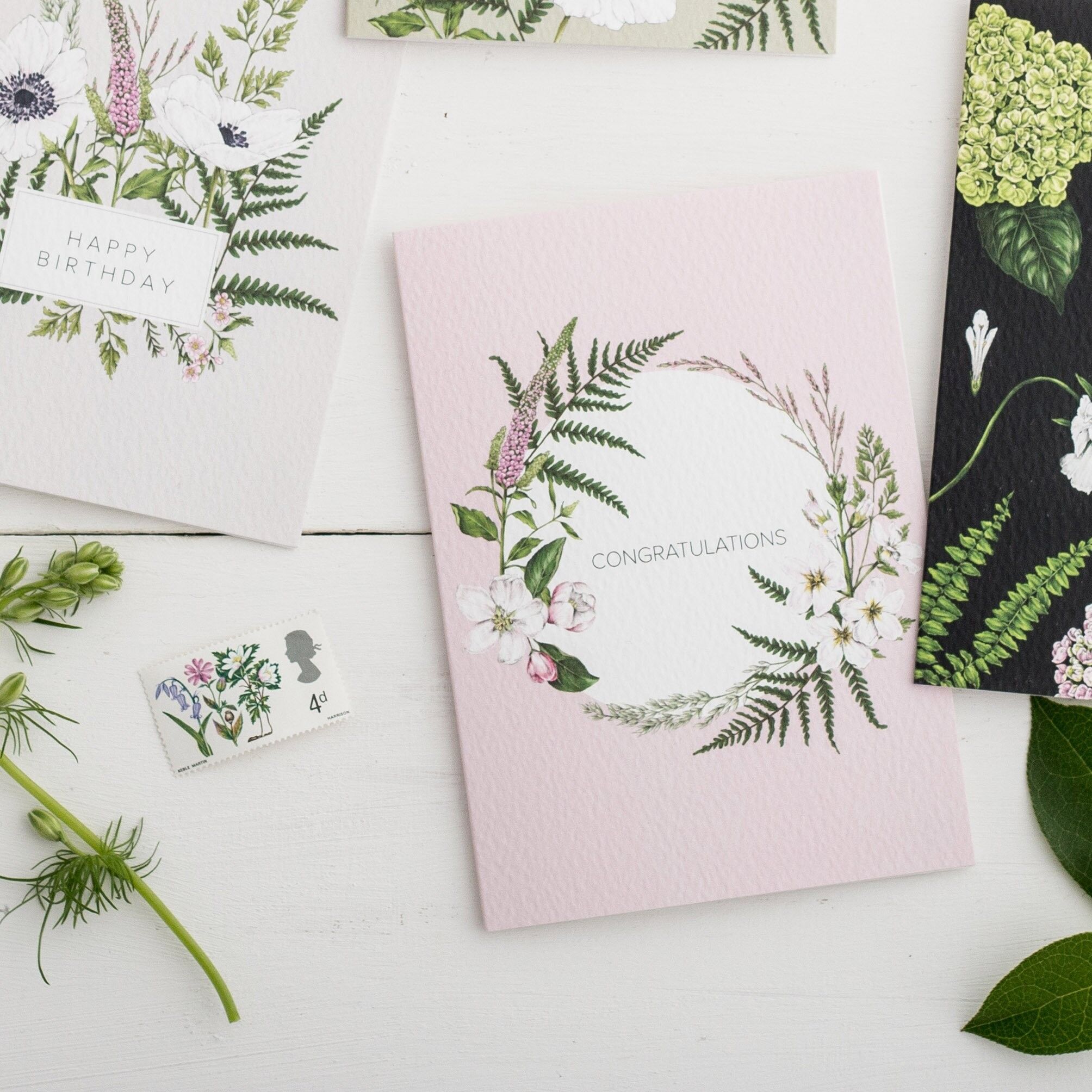 Wilde Wiese - Herzlichen Glückwunsch