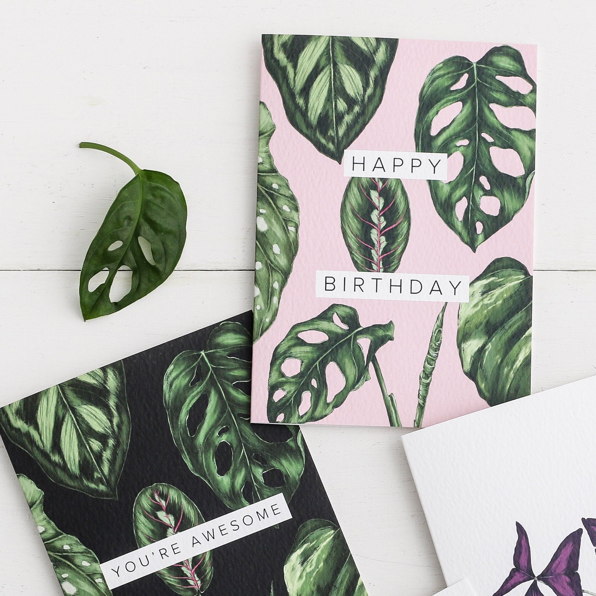 Zimmerpflanzen - Alles Gute zum Geburtstag