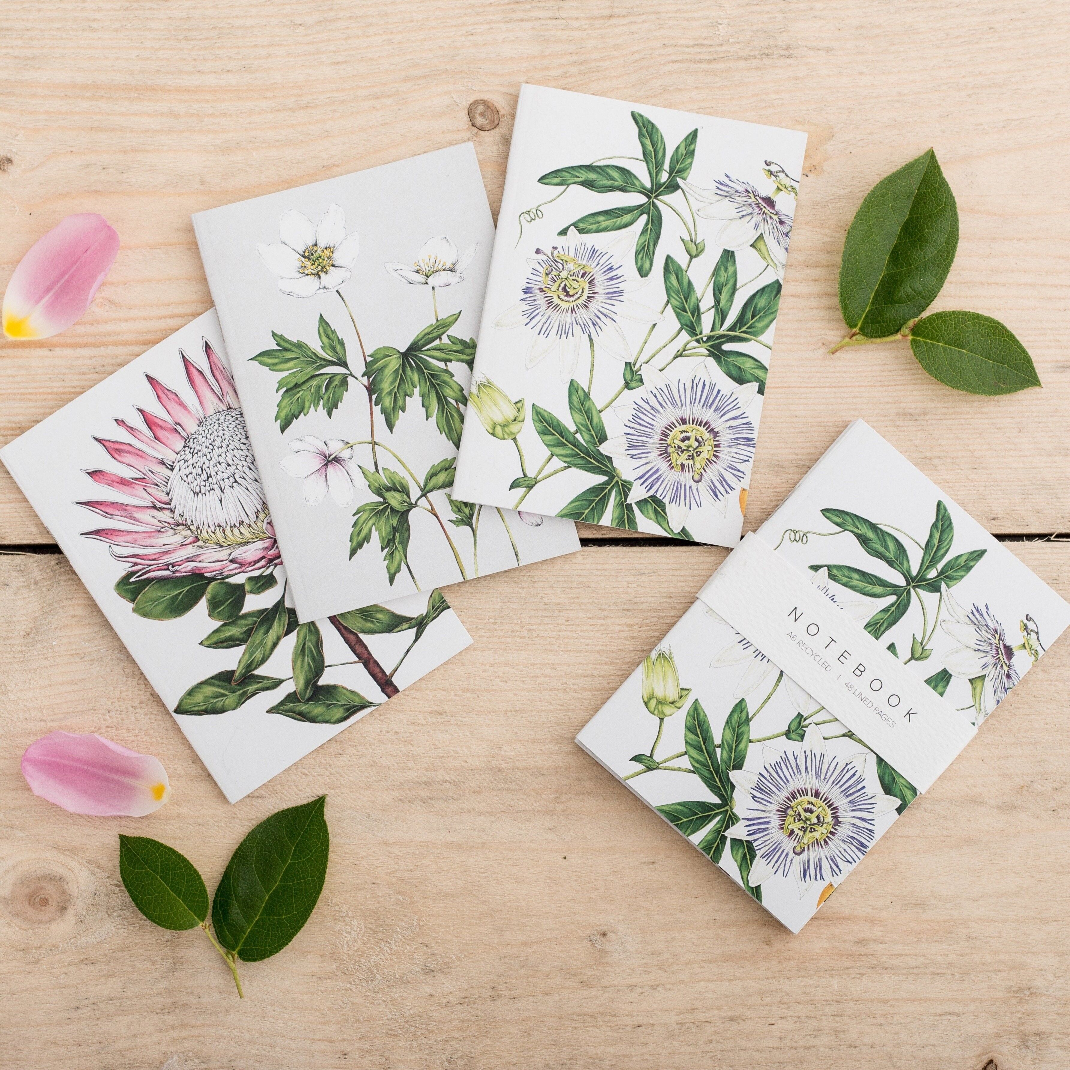 Specie - Confezione da 3 quaderni A6