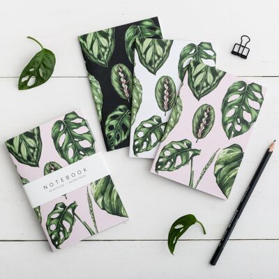 Houseplants - Pack of 3 A6 Notebooks