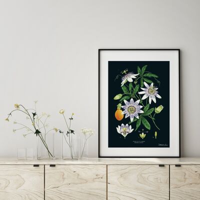 Passion Flower Black - Art Print A4