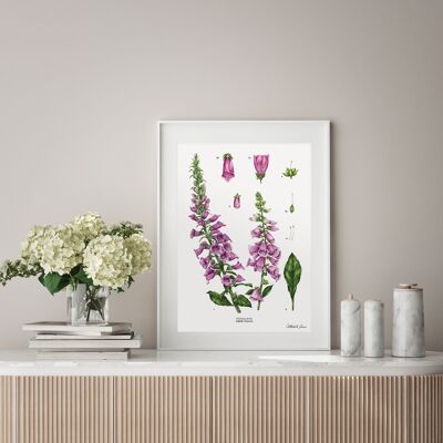 Foxglove White - Lámina A4