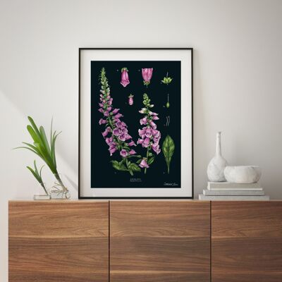 Foxglove Black - Art Print A4