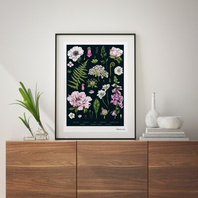 Summer Garden - Black - Art Print A4