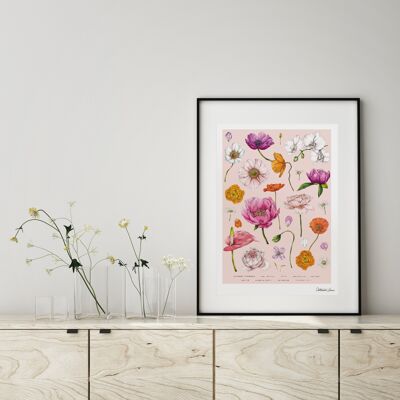 Brillanti floreali - Rosa - Stampa artistica A4
