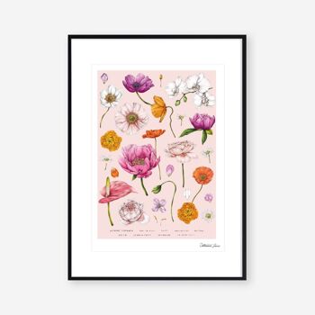 Floral Brights - Rose-Art Print A4 2