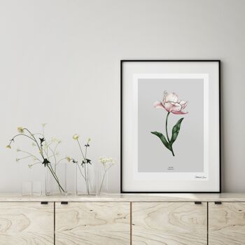 Tulipe de fleur de printemps - Art Print A4 1