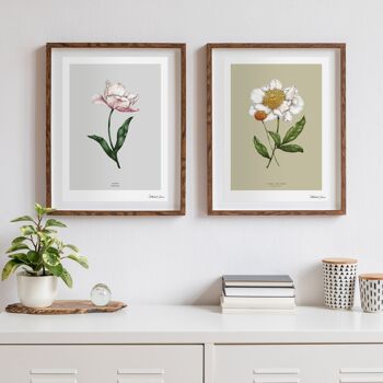 Tulipe de fleur de printemps - Art Print A4 3