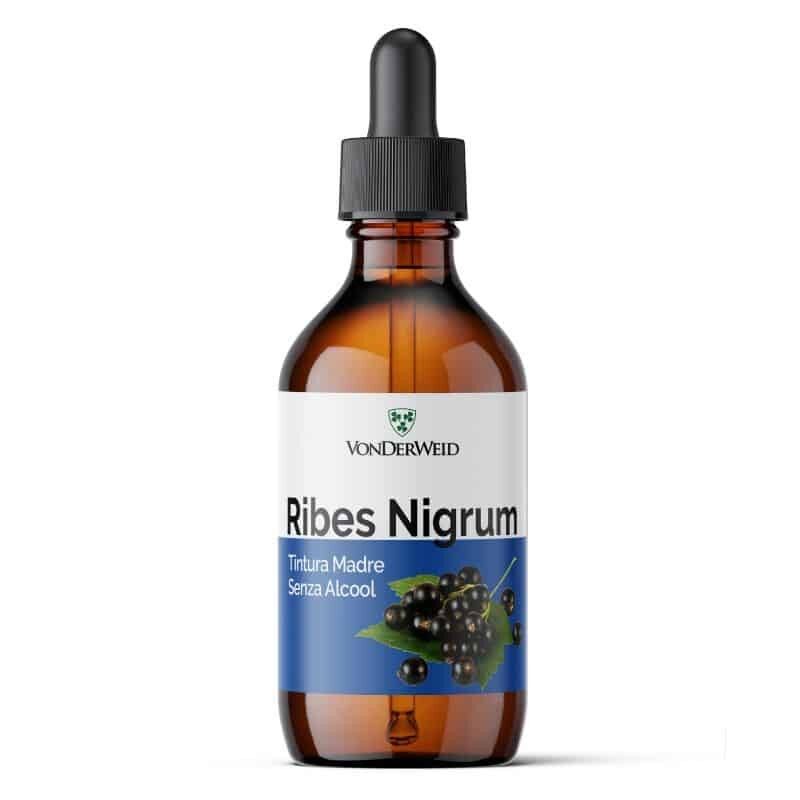 Ribes Nigrum Teinture Mère Sans Alcool 100 ml | Extrait Glycérique de Ribes Nigrum | Complément alimentaire