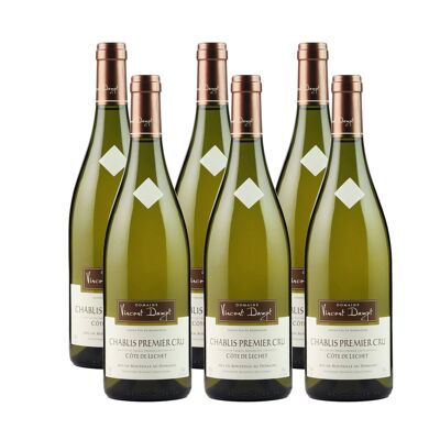 Chablis Premier Cru, Côte de Léchet, Vincent Dampt 2023
