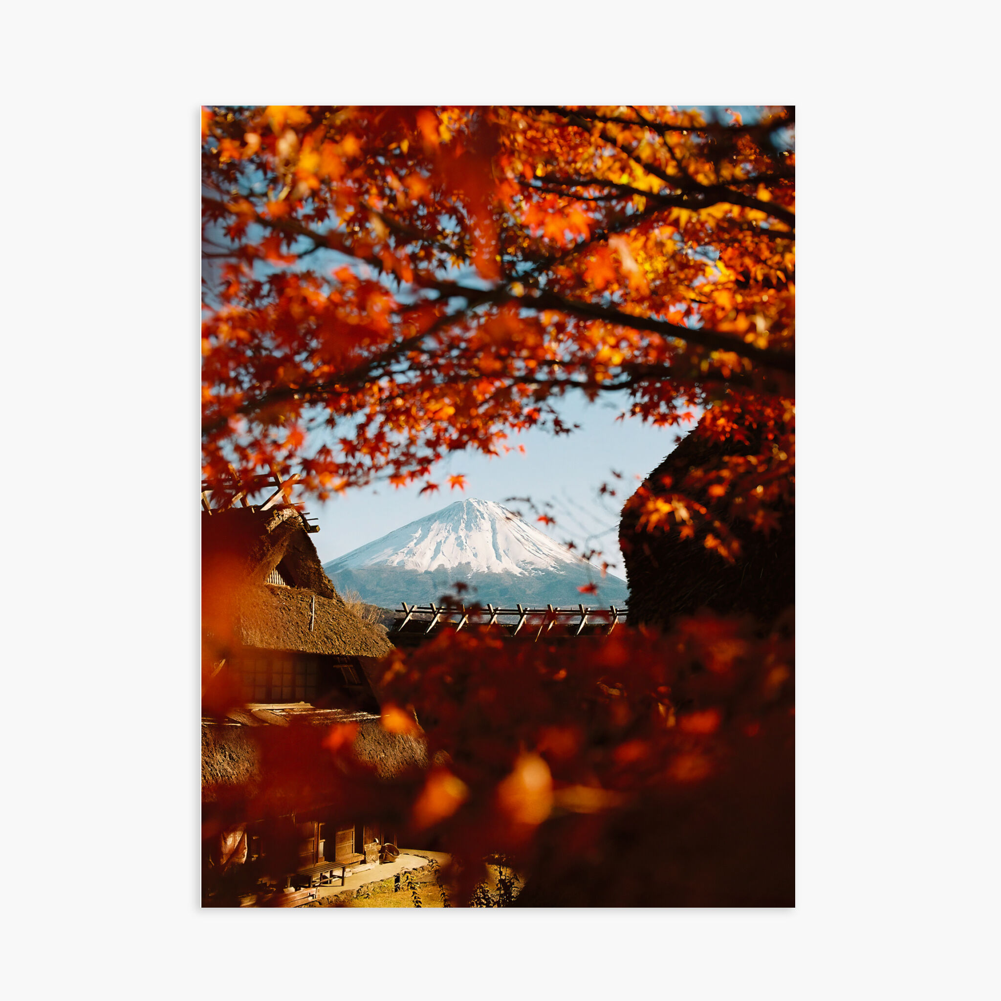 Poster 30x40 cm – Herbst in Japan
