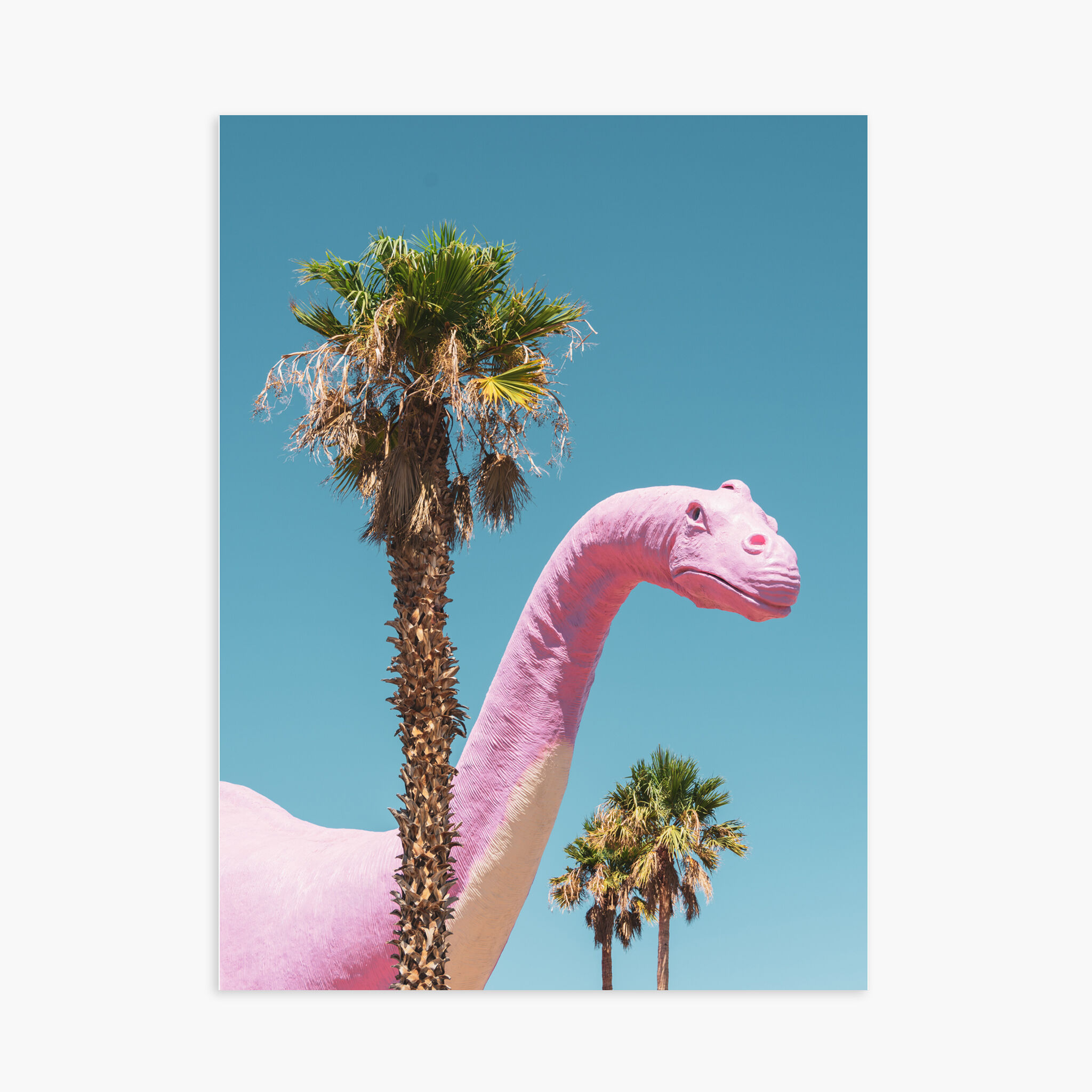 30x40 cm Poster - Miss Dinny