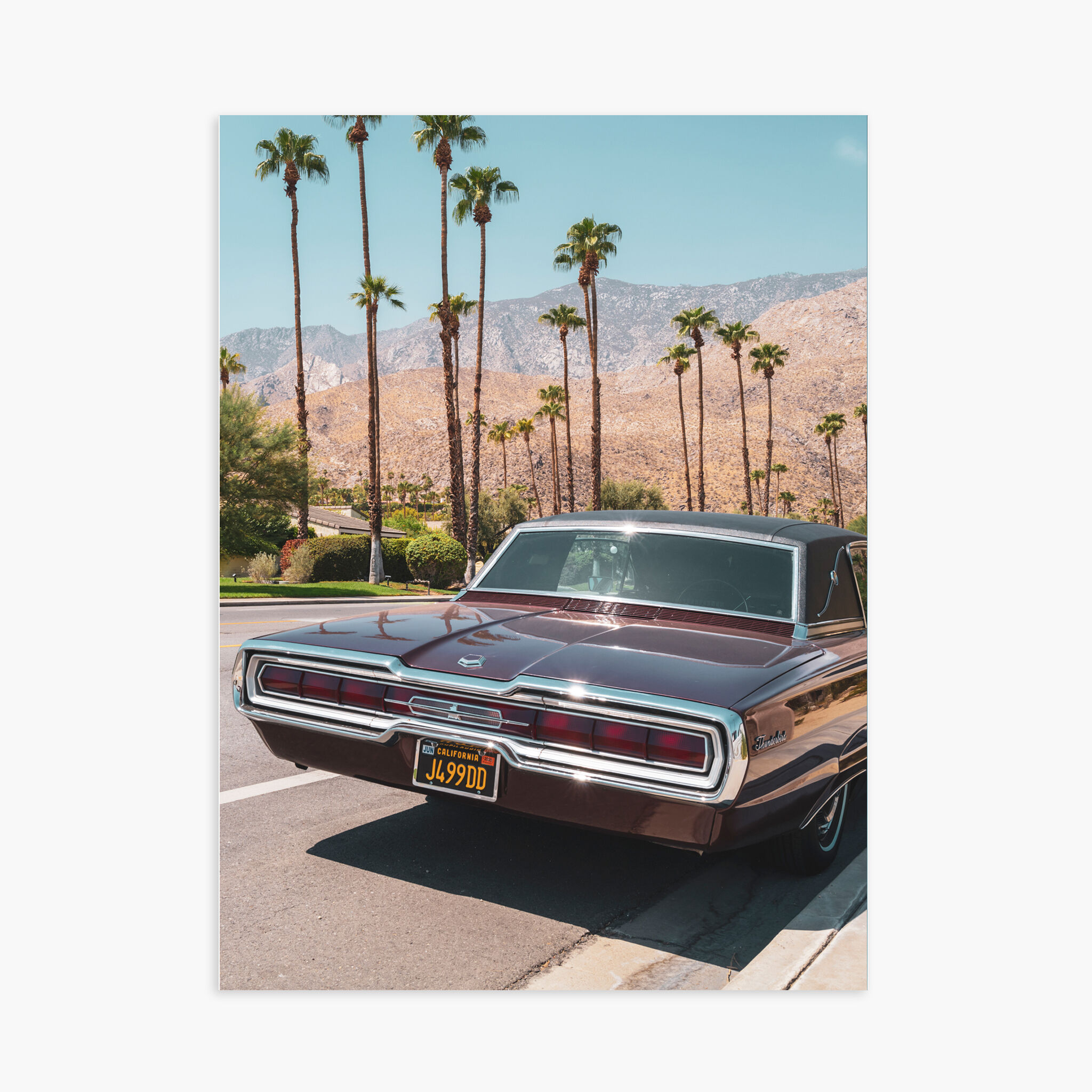 Poster 30x40 cm - Ford Thunderbird