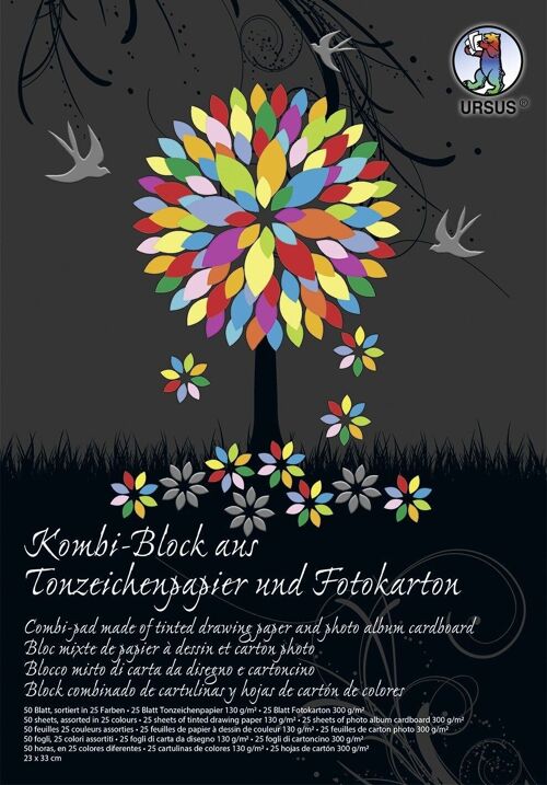 Kombi-Block Tonzeichenpapier und Fotokarton "Sonderedition", 23 x 33 cm, 50 Blatt sortiert