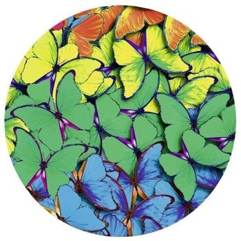 Carton "Arc-en-ciel - Papillons", 49,5 x 68 cm 2