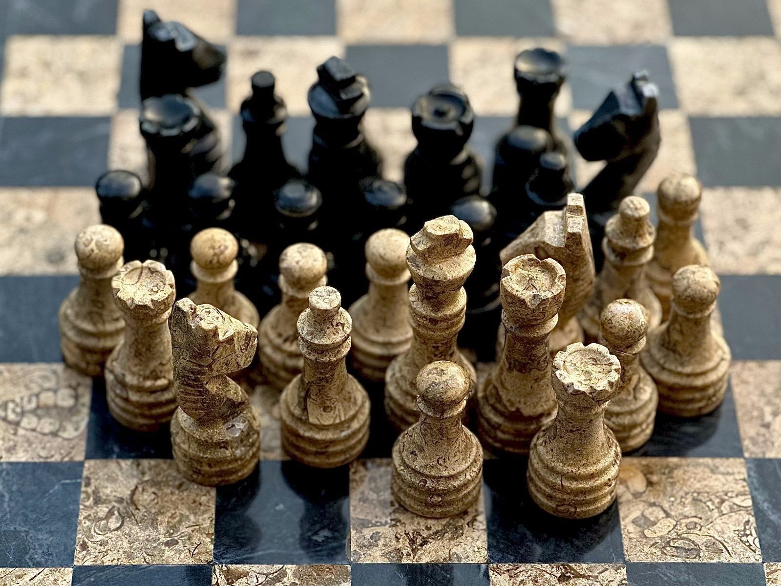 Fossil Stone and Black - Marble Chess Pieces Only