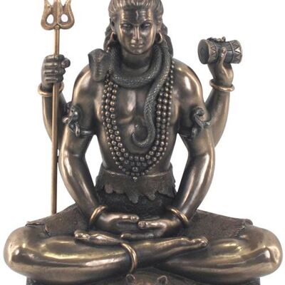 shiva
