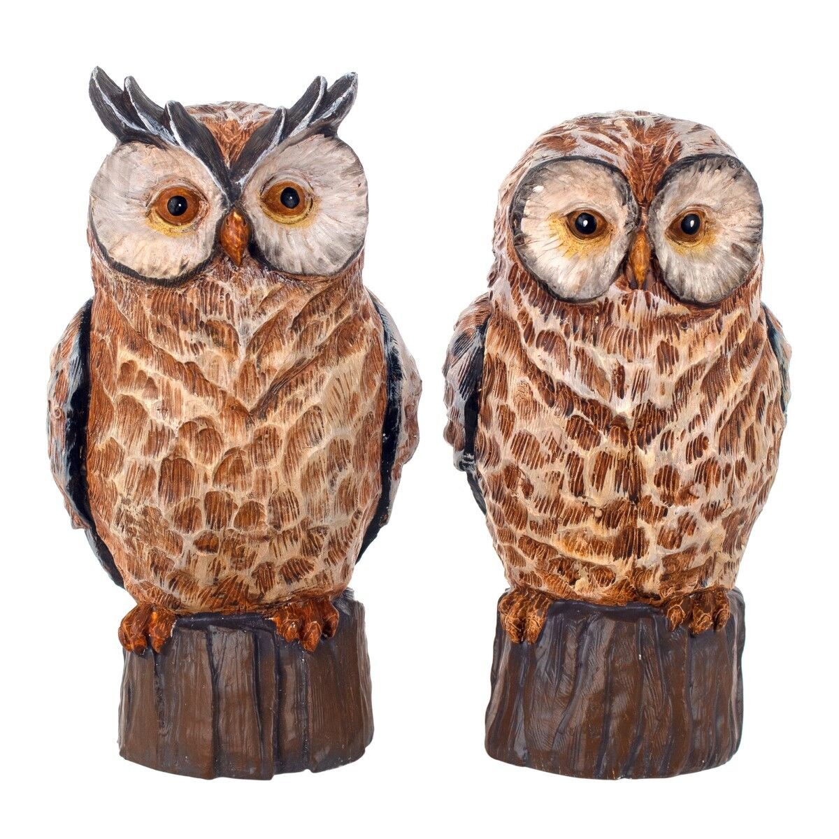 Gufo Figura 2 Unità