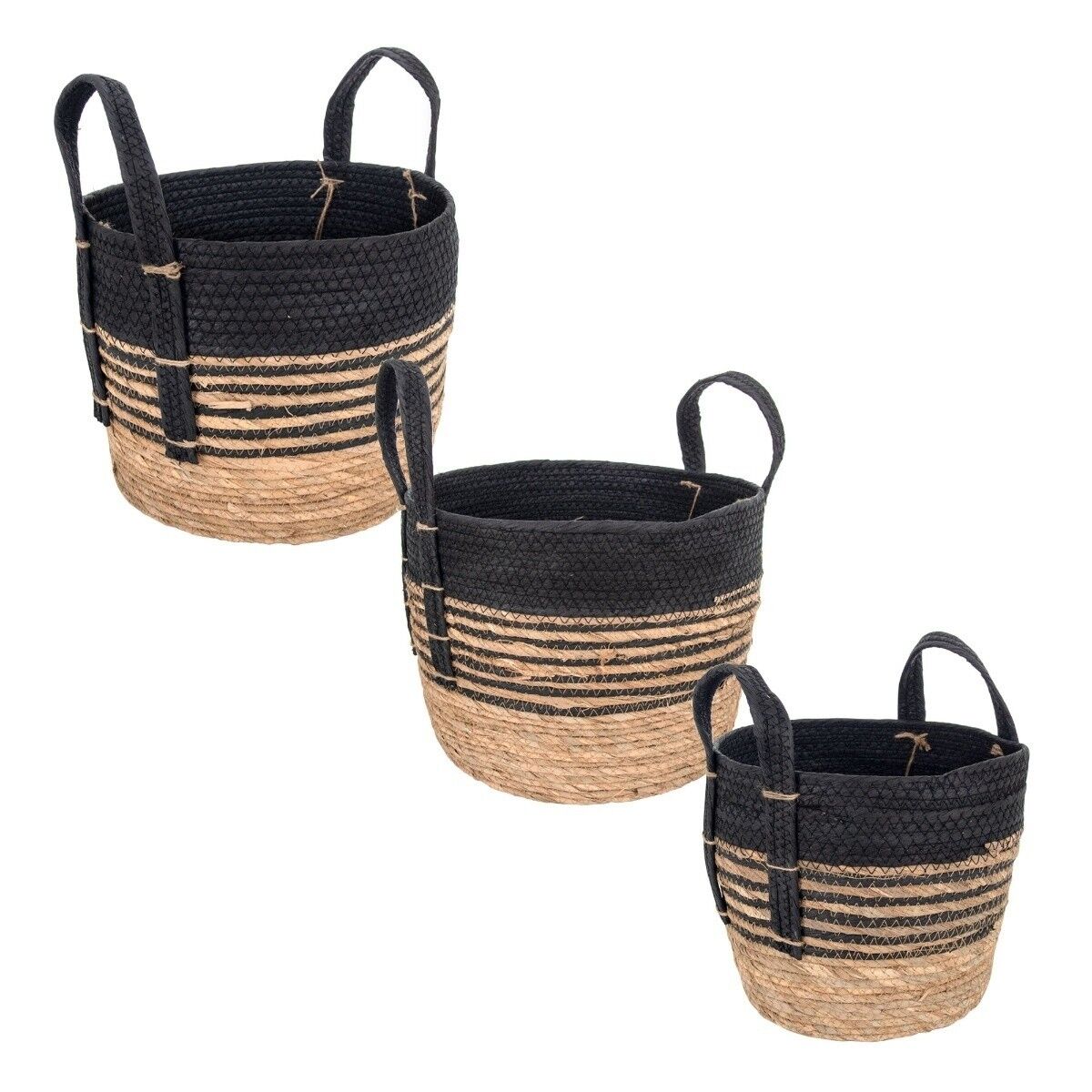 Cesti 3 unità