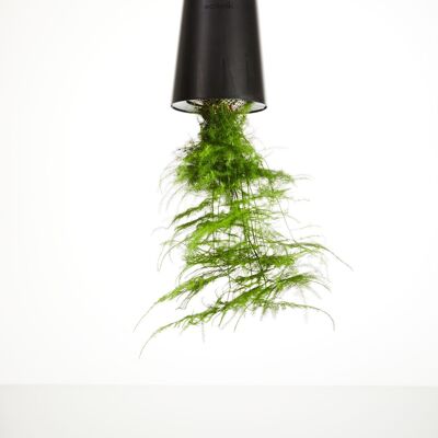 Sky Planter Recycled, Large 15cm Black - self-watering hanging planter