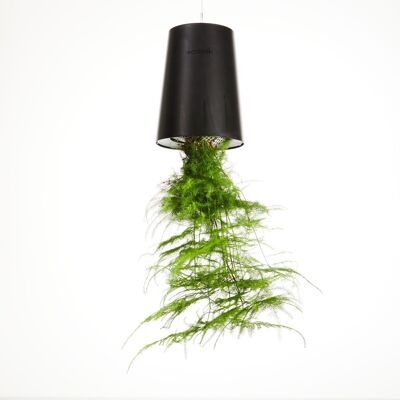 Sky Planter Recycled, Large 15cm Black - self-watering hanging planter