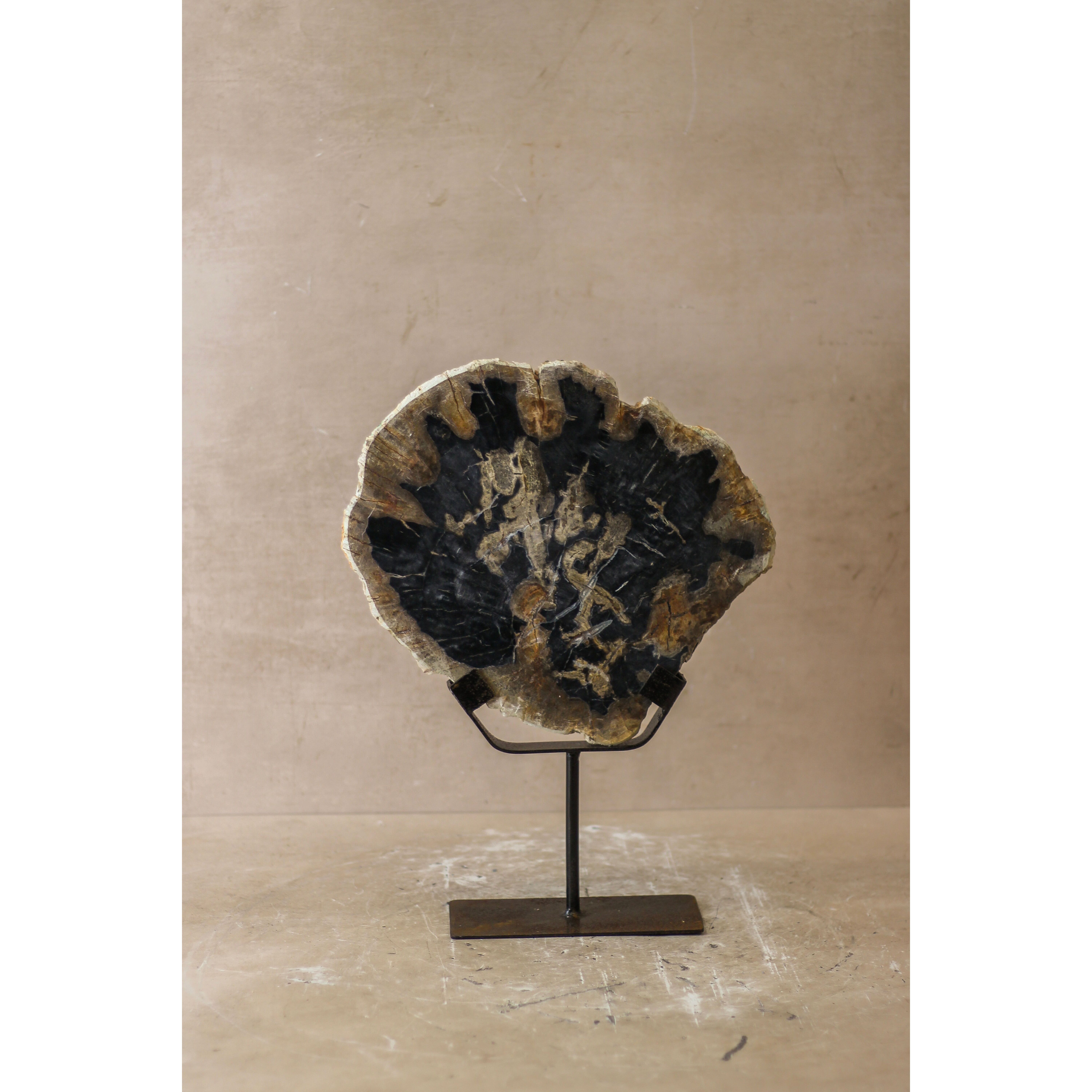 Présentoir en bois pétrifié - n° 6