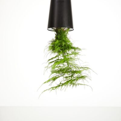 Sky Planter Recycled, Small 9cm Black - self-watering hanging planter