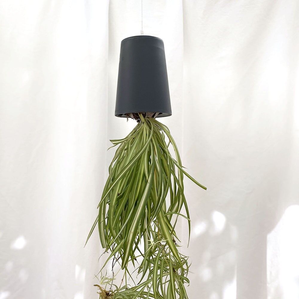 Sky Planter Recycled, Small 9cm Antracite - fioriera pensile autoirrigante