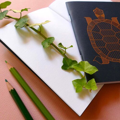 Mini-carnet Tortue