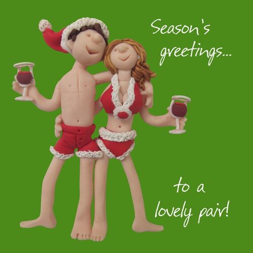 Seasons Greetings to a lovely pair Christmas card