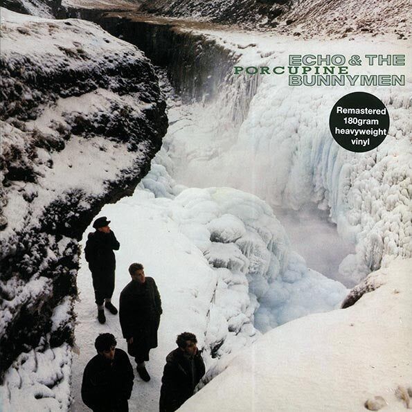 Echo & The Bunnymen LP Vinile - Porcospino