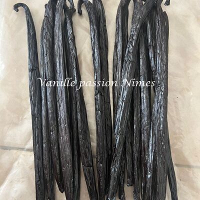 10 Baccelli di vaniglia "Grasse" qualità 23/26 cm Bourbon Madagascar