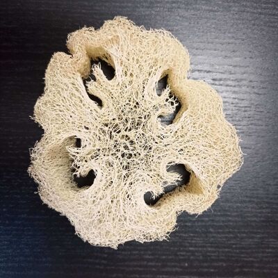Eponge - Tranche de Loofah