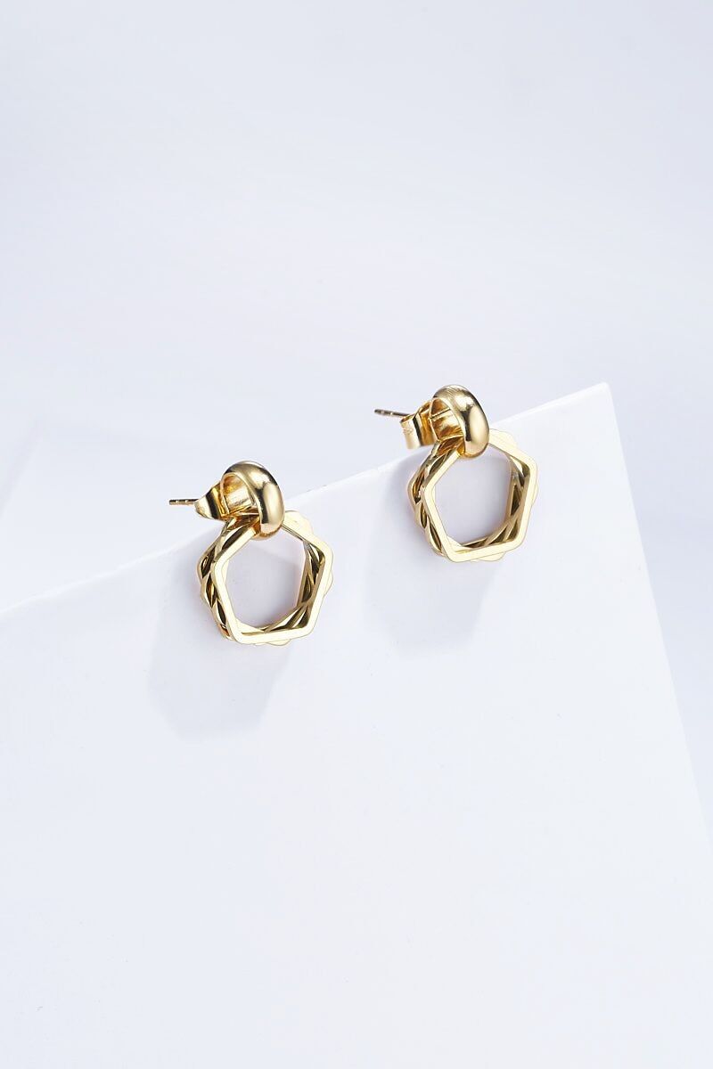 Orecchini in acciaio inossidabile 124RX91