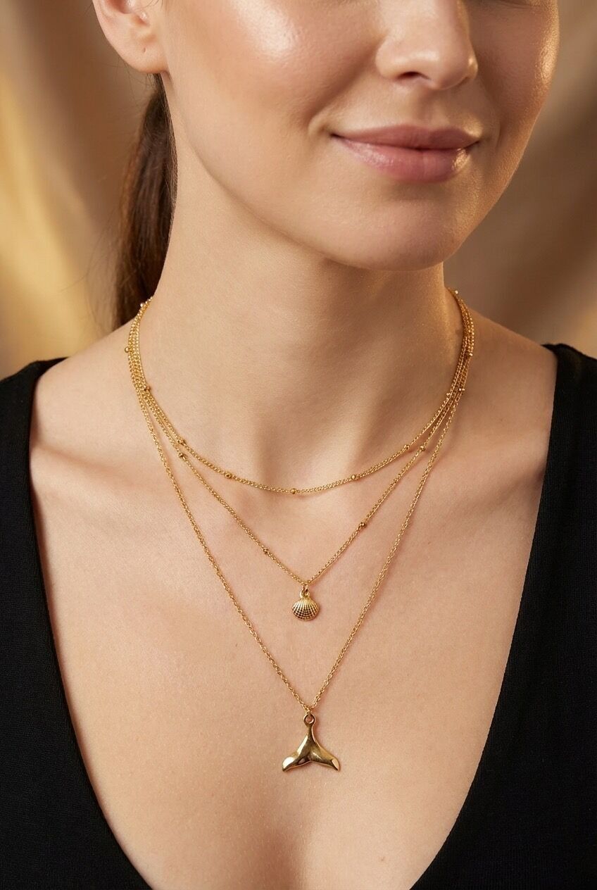 Collare in acciaio inox 224DY42