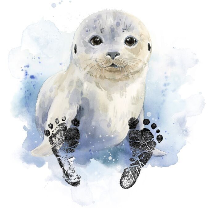 Kit impronte di cuccioli di foca