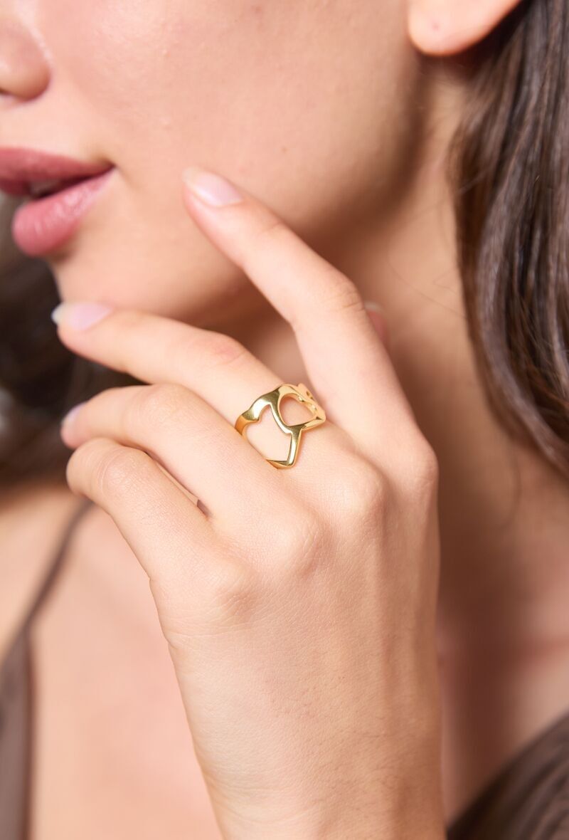 Anello in acciaio inossidabile 424YC44