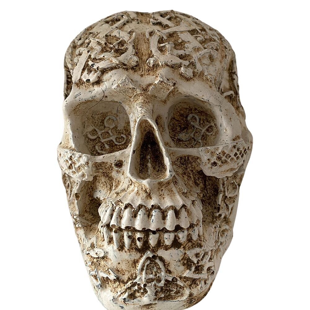 Teschio in resina, bianco, 12 cm