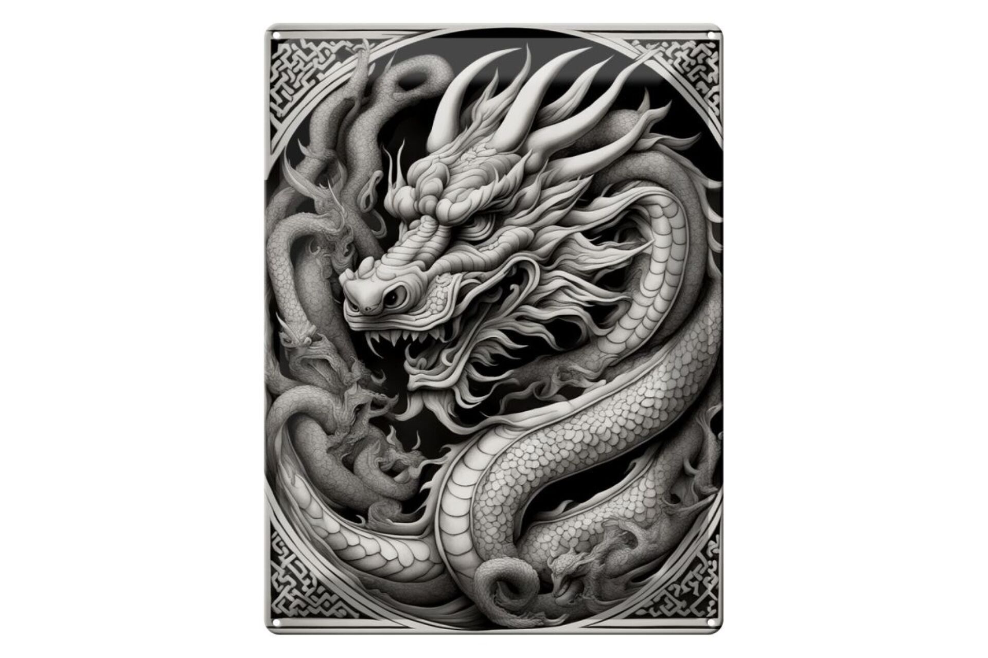 Metal sign 12x18cm Dragon Board 5