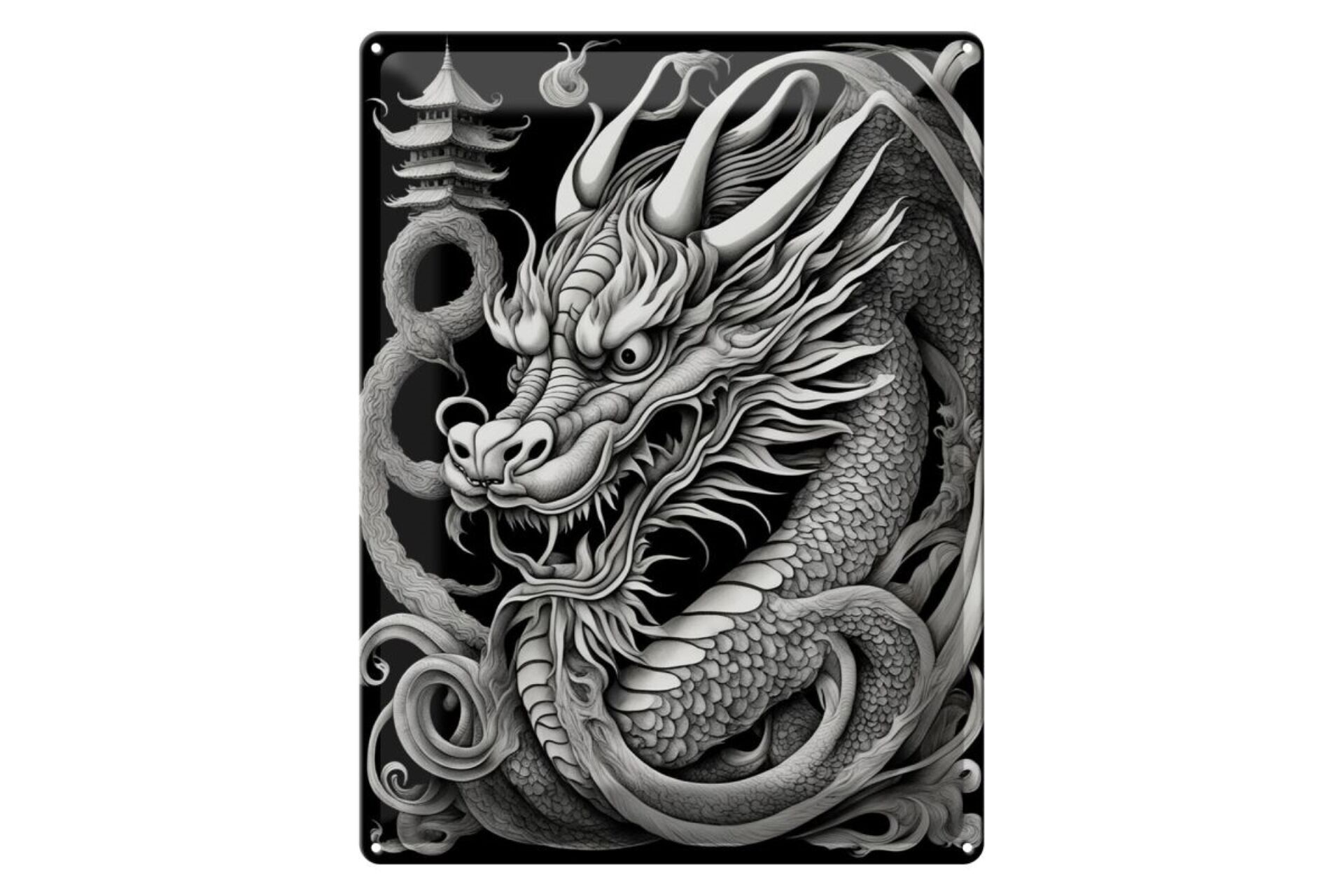 Blechschild 20x30cm Drachentafel 3